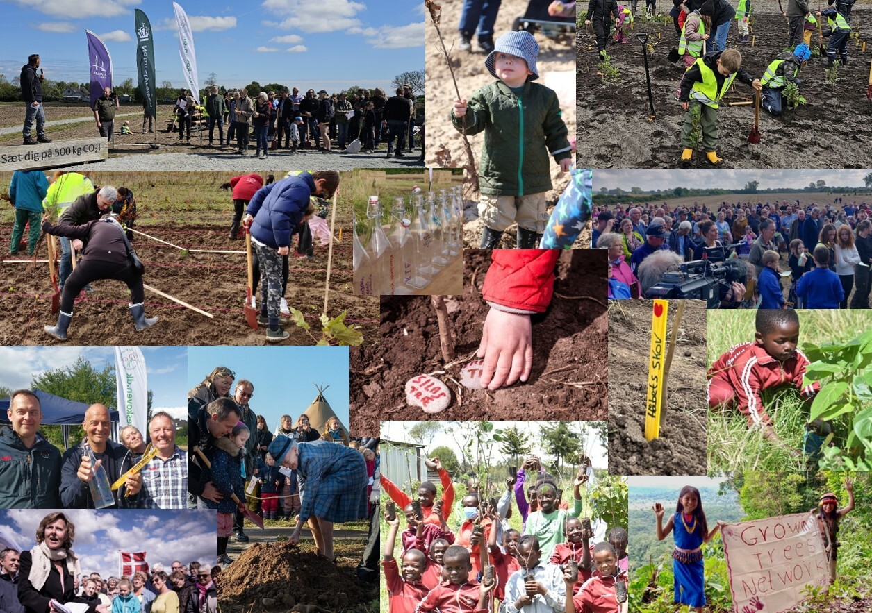 gorwing trees gorwing trees