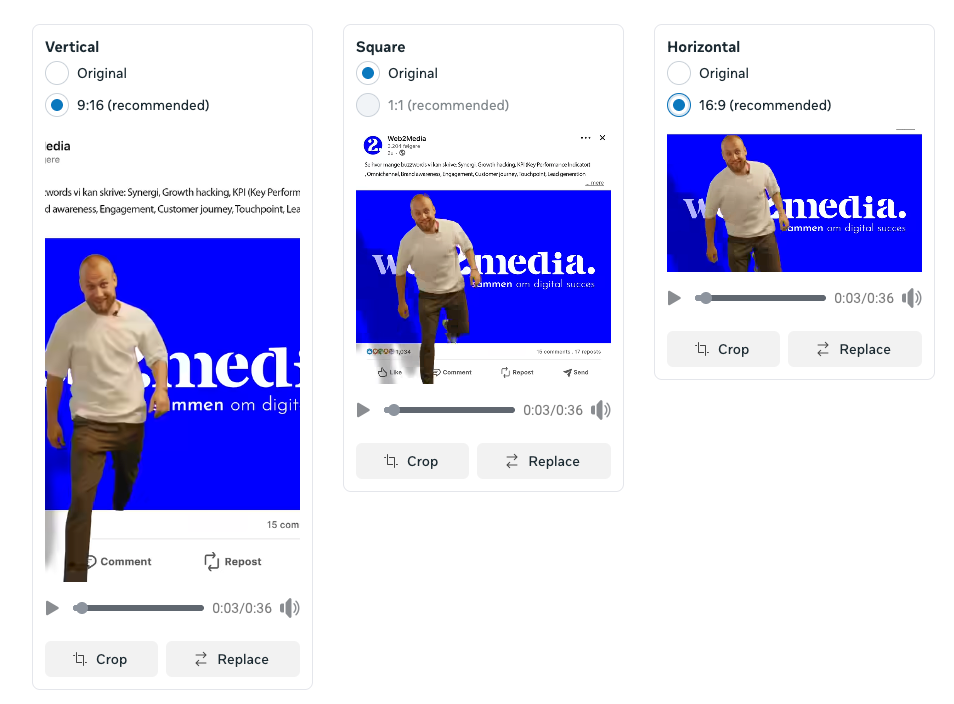 Videoformater